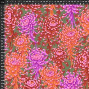 Philip Jacobs for Kaffe Fassett - Spider Mums -