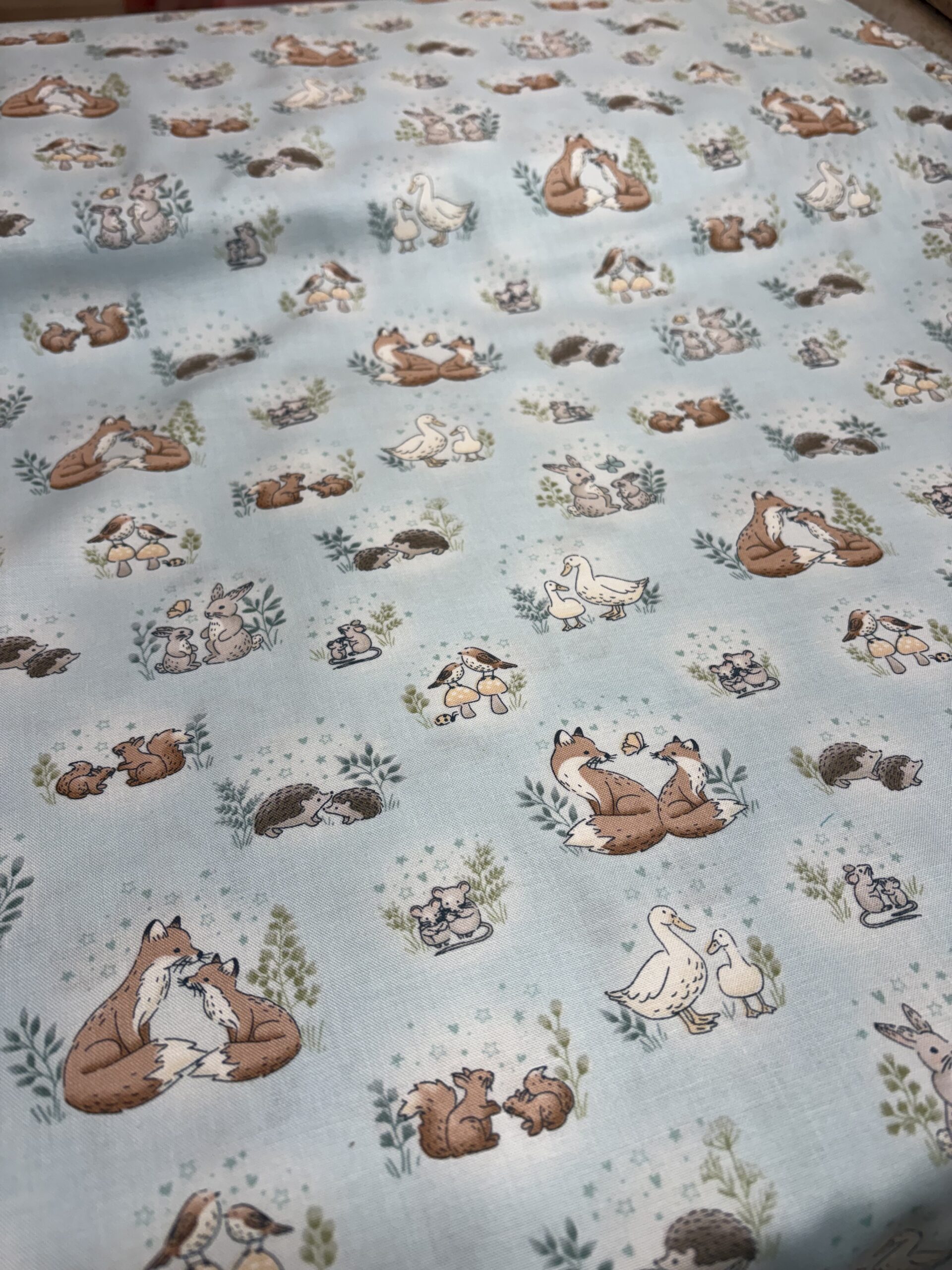 Little Ones - Hugs- Cotton Sheeting 6 Little Ones - Hugs- Cotton Sheeting - Image 6