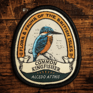 Common Kingfisher Patch