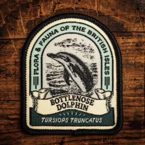 Bottlenose Dolphin Patch