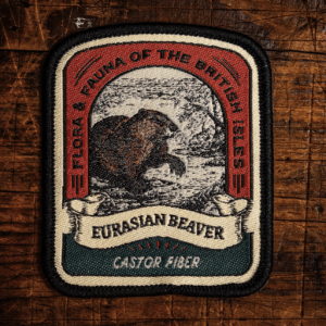 Eurasian Beaver Patch